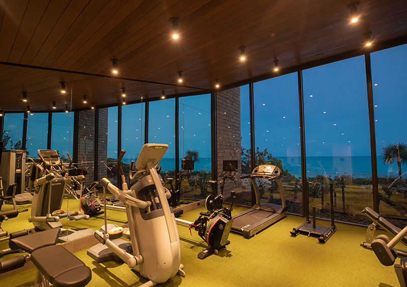 luxury home gym design